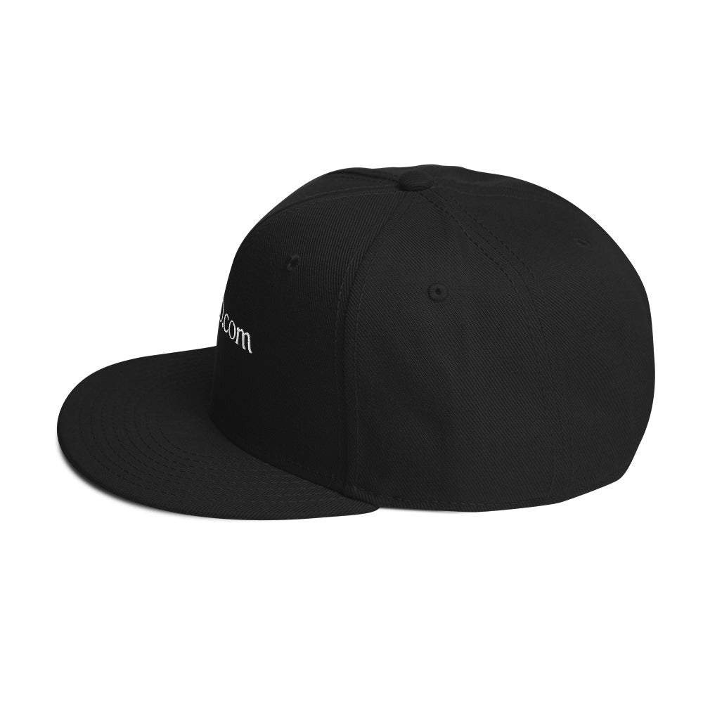 843SEO Snapback Hat - My Store